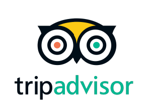 350+  Positive reviews on TripAdvisor