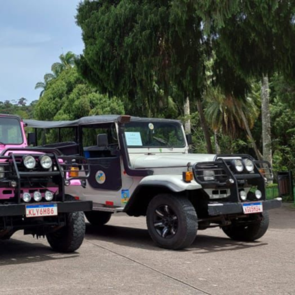 floresta da tijuca de jeep rio de janeiro brazil expedition - 