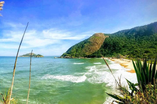 Prainha Beach Eco Wonders of Rio Jungle Me - 