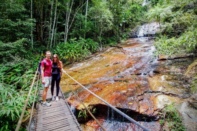 Tijuca Forest Moderate 1 - 