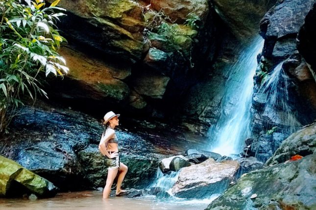 Tijuca Forest Moderate 2 - 