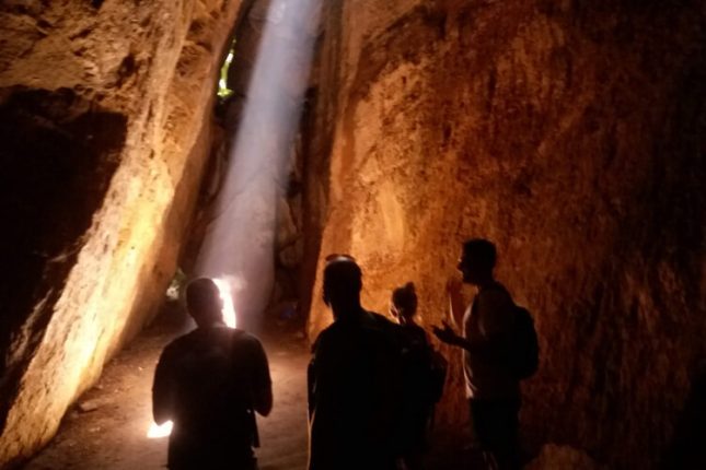 Tijuca Forest Moderate 4 - 